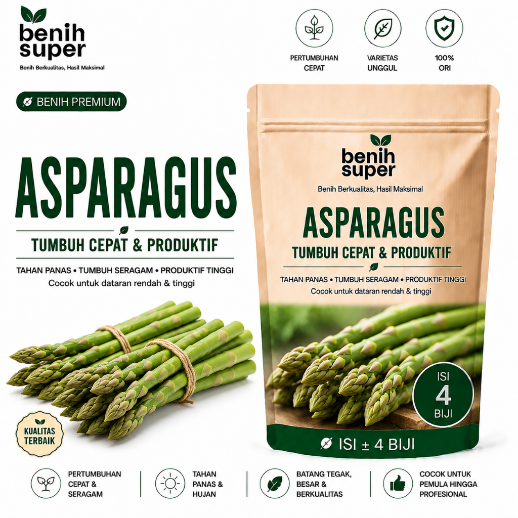 Benih Super 4 Biji - Benih Asparagus Green UC800 Hibrida - Bibit Tanaman Sayur Sayuran Asparagus Bea