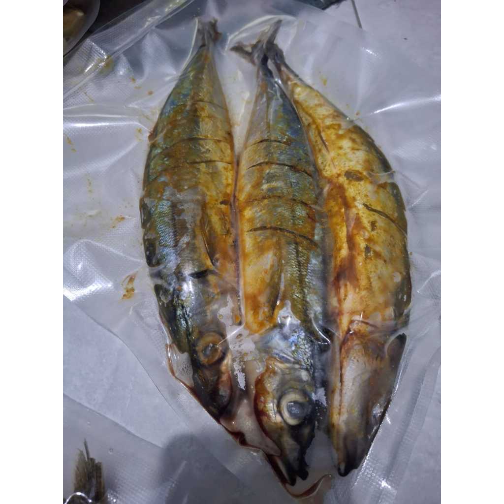 Ikan Kembung Layang Marinasi