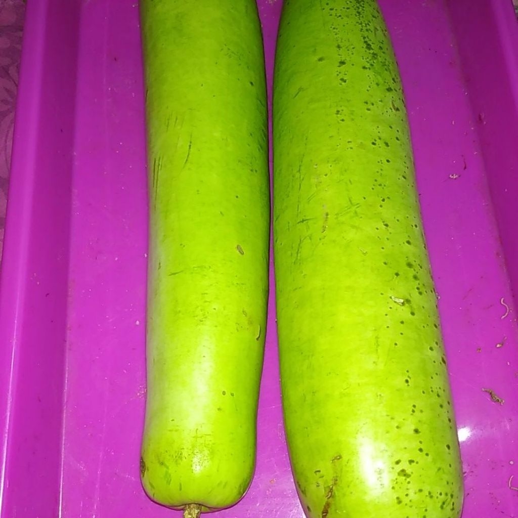 Sayur buah bloceng blonceng segar