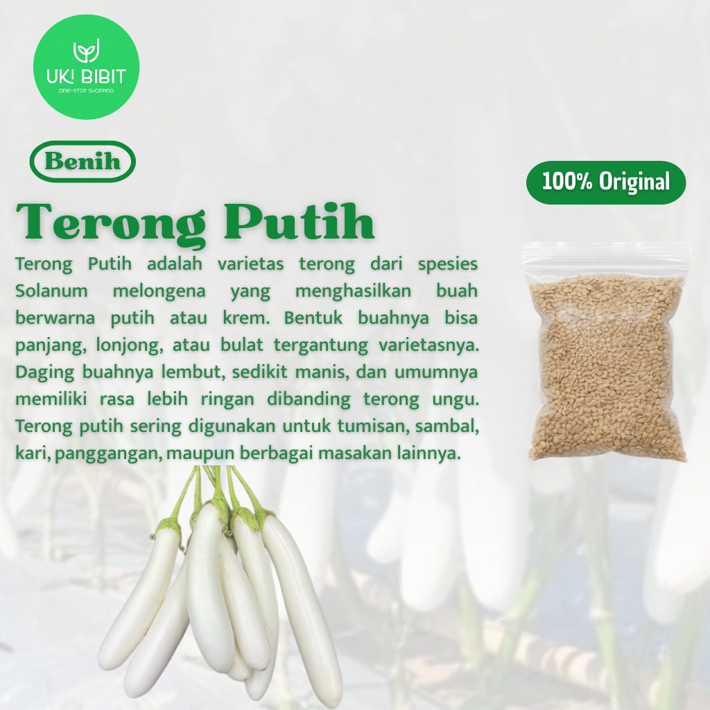 ( 100 Butir ) Benih Biji Terong Putih | Terong Putih Panjang