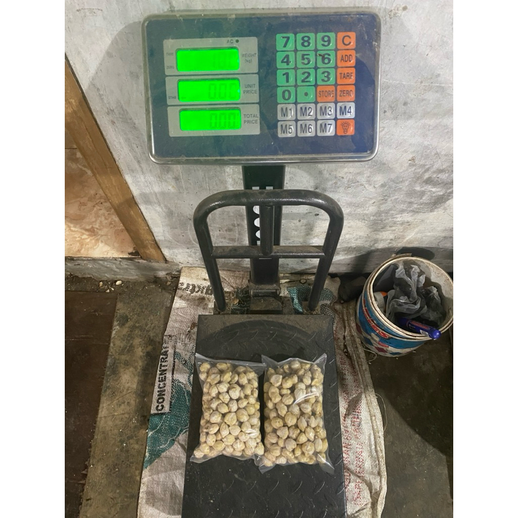 kemiri 1 kg bulat utuh - kualiatas no 1 bagi kami