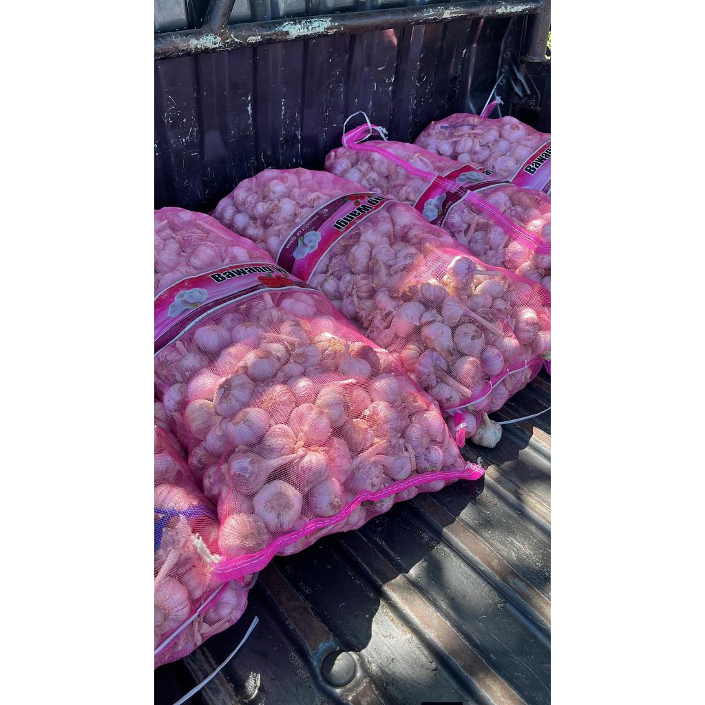 GROSIR bawang putih 20kg karungan termurah