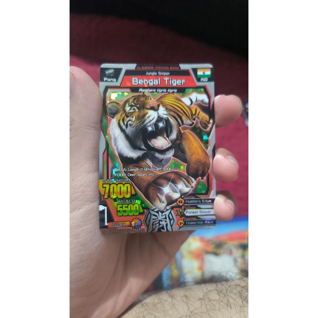 Bengal Tiger - Animal Kaiser