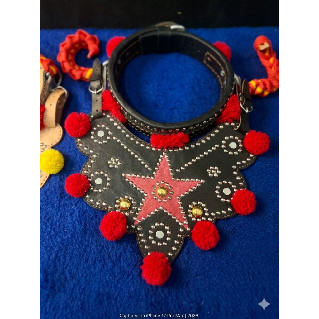 Kalung Gongseng Domba Bahan Kulit Asli Fullset - Seni Adu Ketangkasan