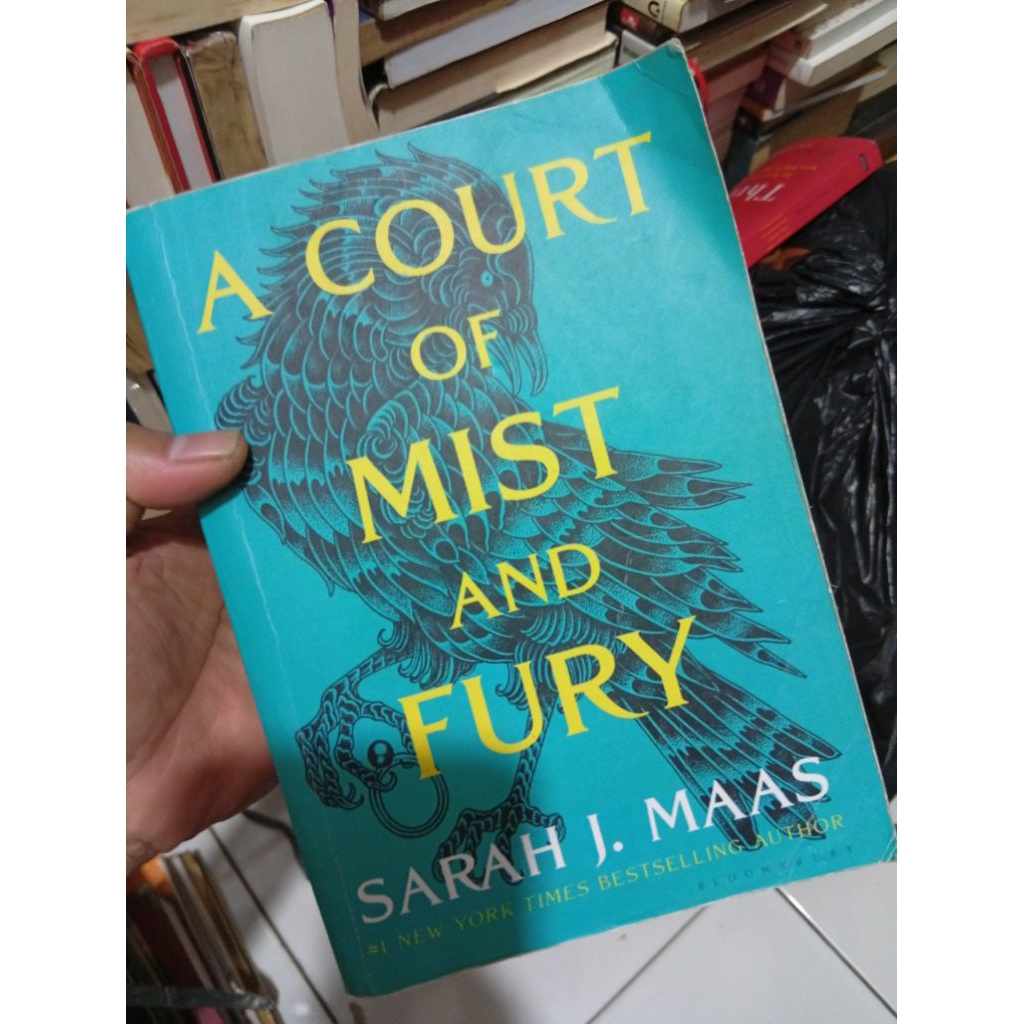 a court of mist and fury english books