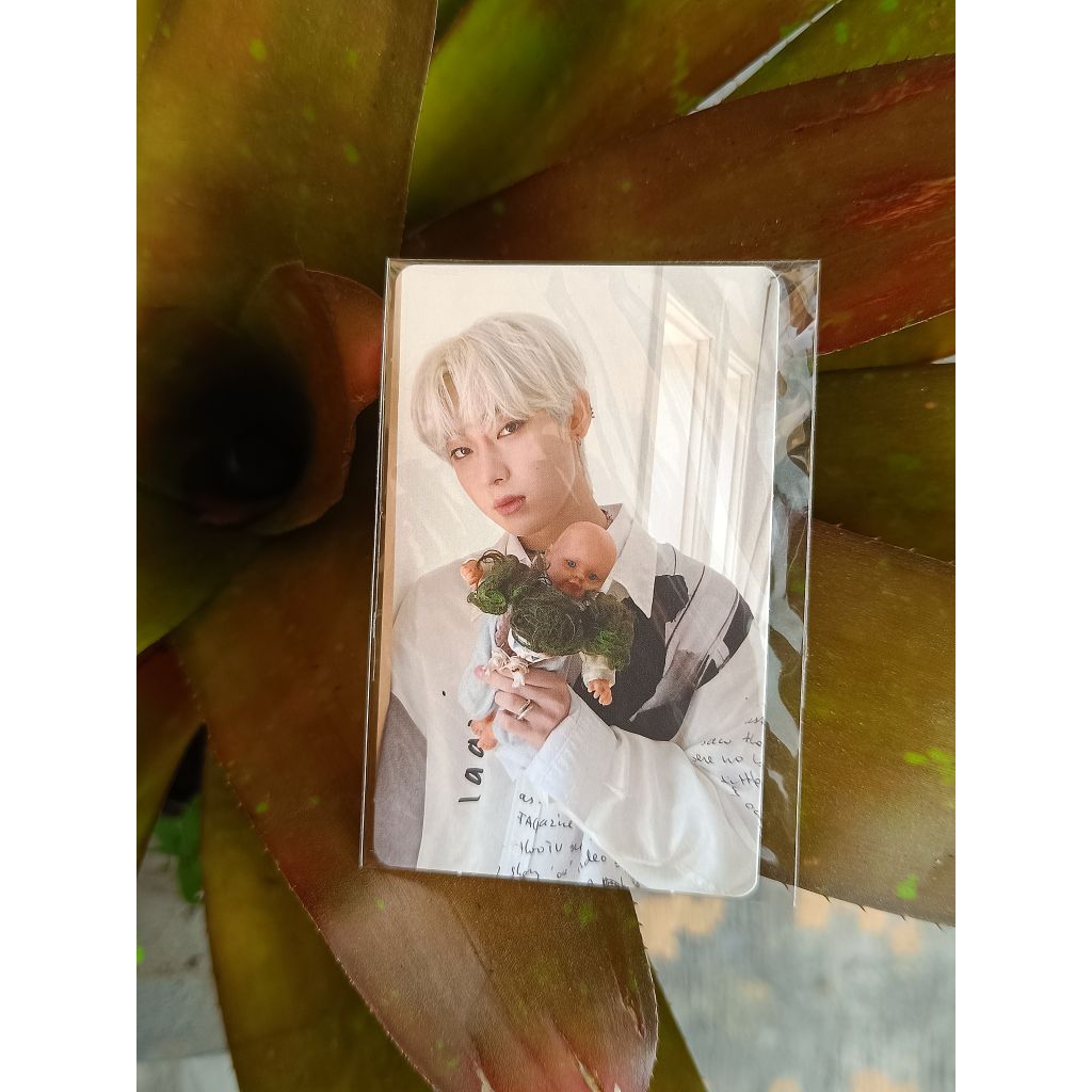 Photocard Official Enhypen Jay, Jake, Jungwon & Sunoo era Border: Day One (debut) | Border: CARNIVAL