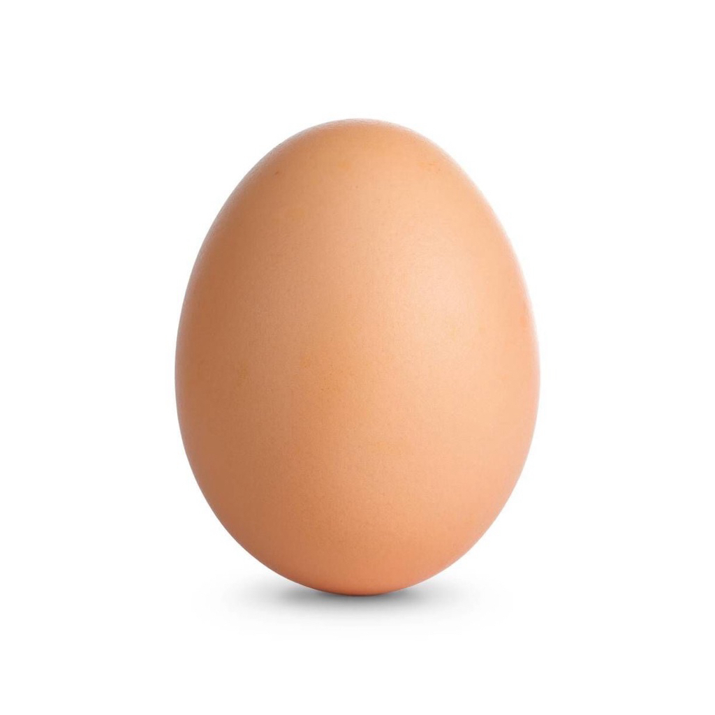 telur ayam [paiton-pakuniran] 1kg pengiriman instan