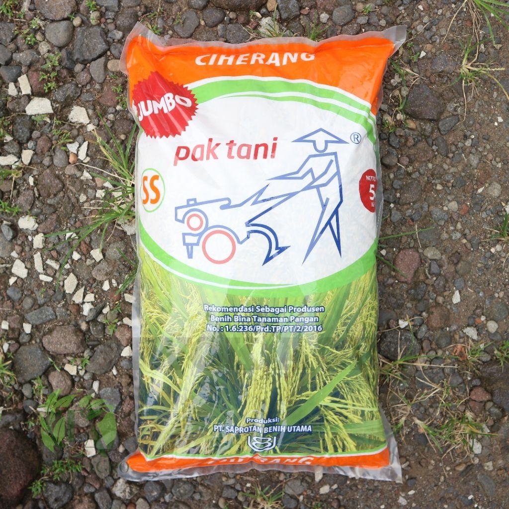 Benih Padi Ciherang Pak Tani 5kg - Bibit Padi Unggul Sertifikat SS Original