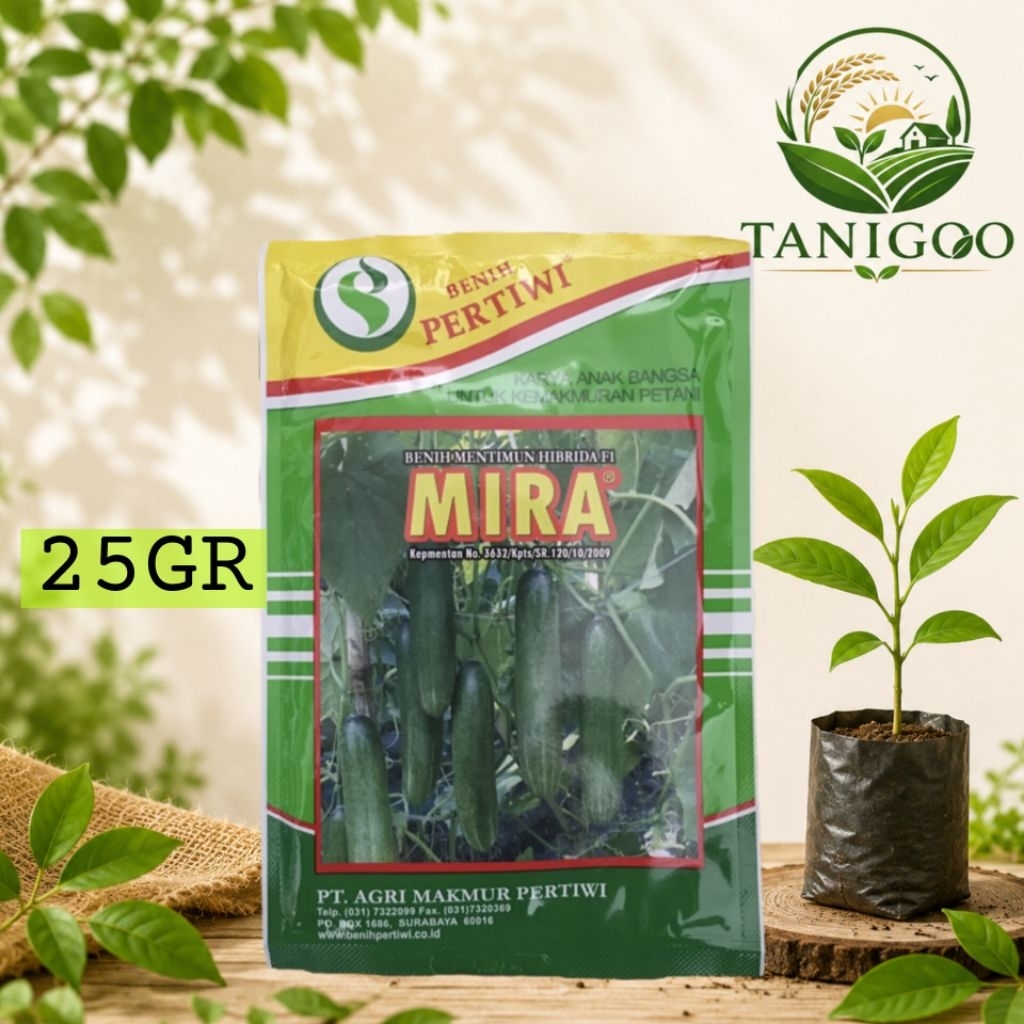 BIBIT TIMUN MIRA 25GRAM
