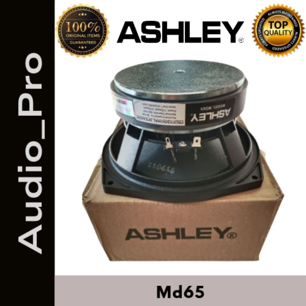Speaker component Ashley Md65 Ashley MD65
