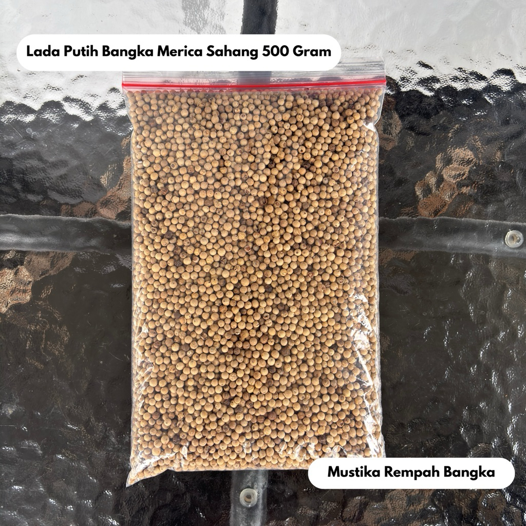 [TERMURAH DAN ASLI BANGKA] Lada Putih Merica Sahang Bangka Butiran 500 Gram