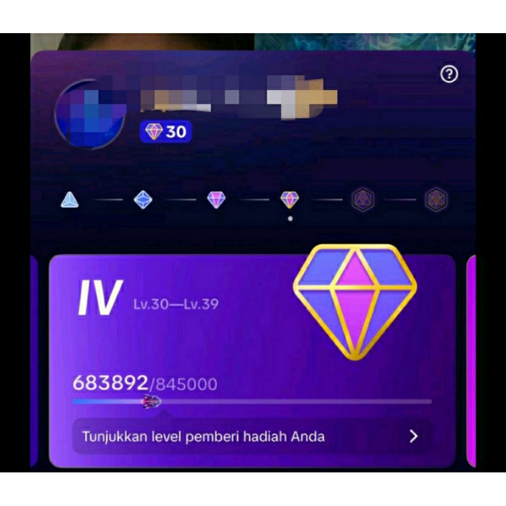 pay indo level 30 tiktok
