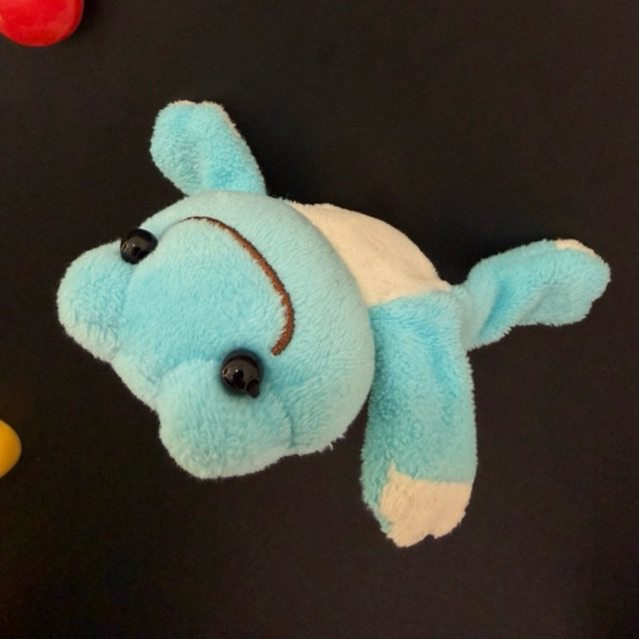 Pickles The frog magnet / magnet kodok