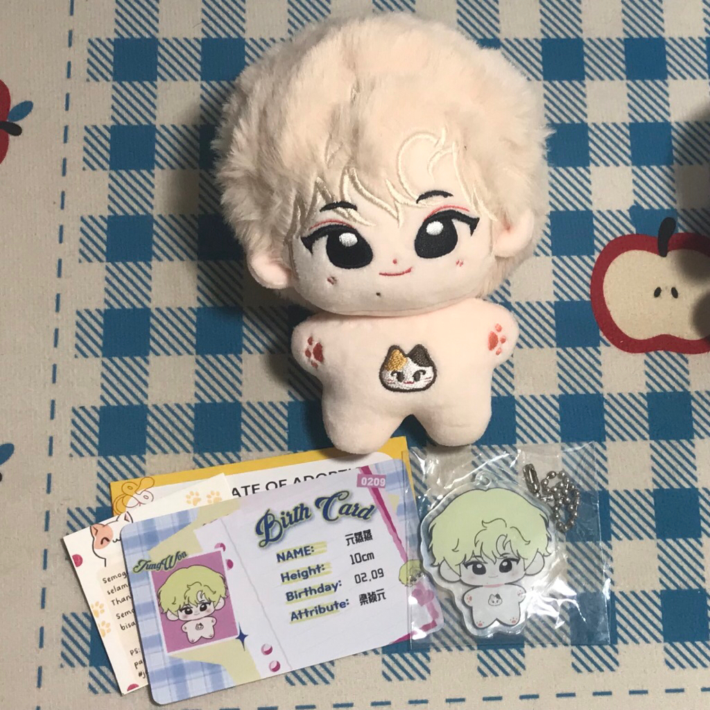 Doll jungwon ENHYPEN | Wonzhengzheng / JW Blonde