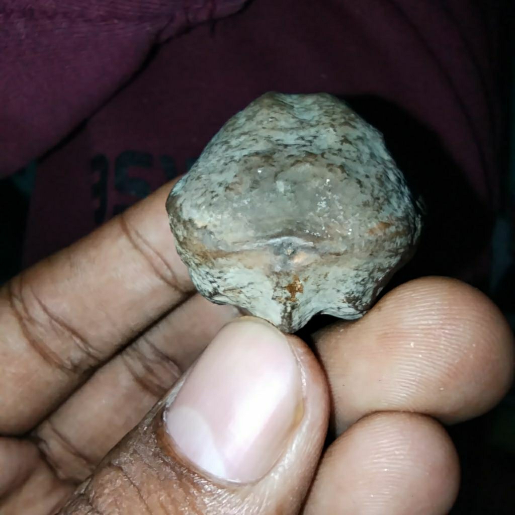 MUNCANG JAWA KASEP