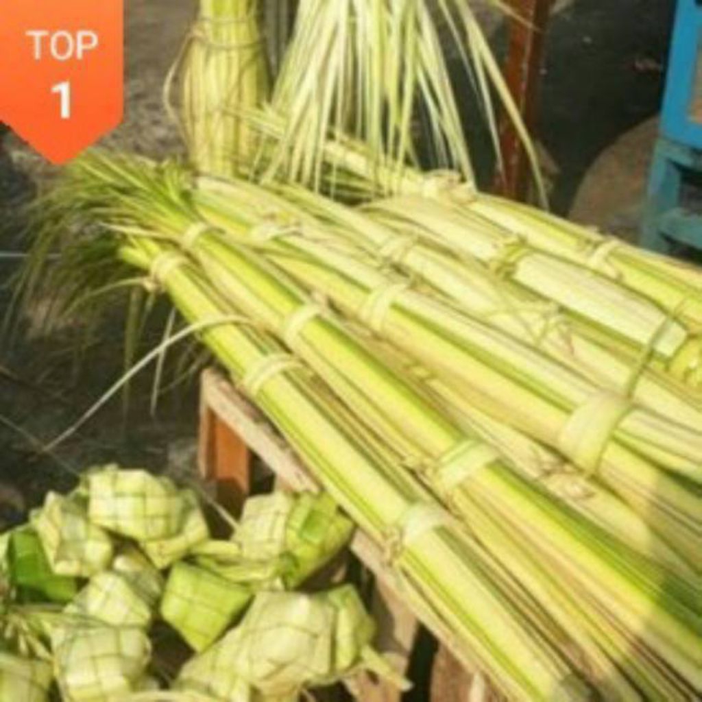 Daun kuning janur kuning 20 lembar daun