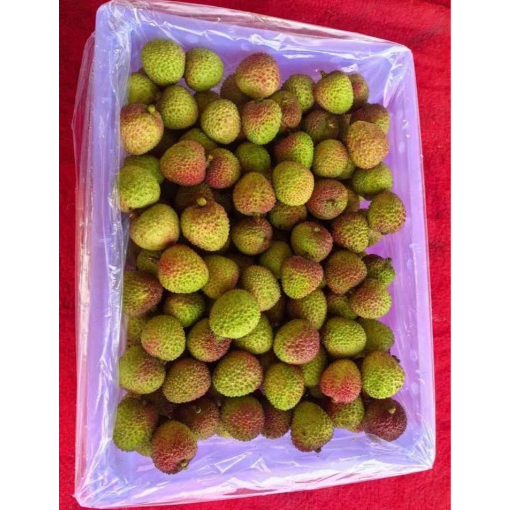 LECI MADU 1KRAT