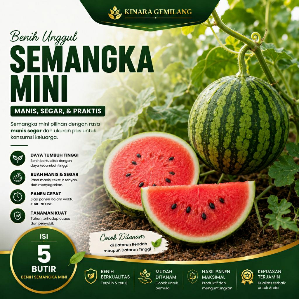 5 Butir Bibit Benih Biji Semangka Mini – Bibit Buah Semangka Mini Manis Unggul Cepat Panen, Benih Se