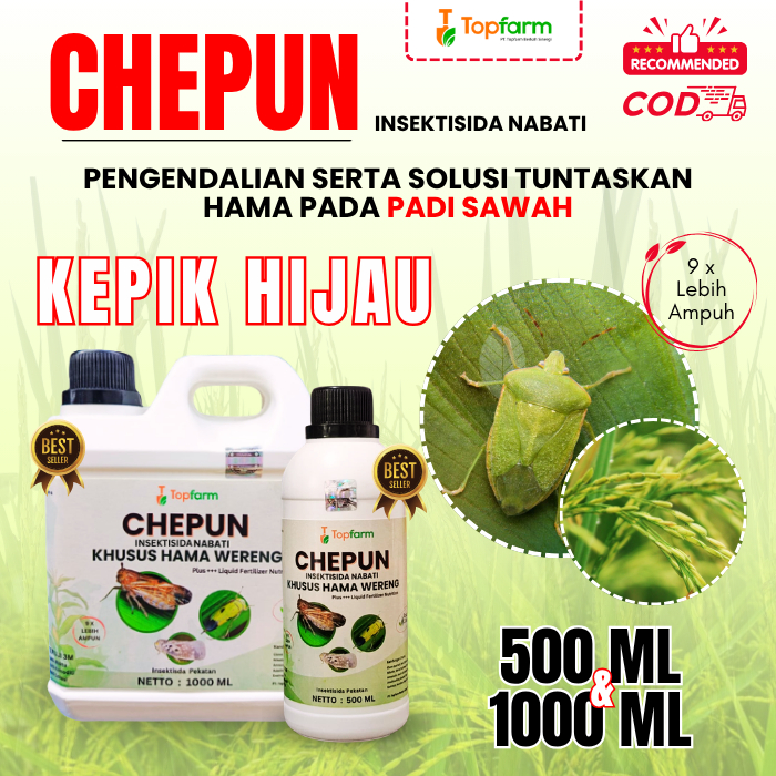 Insektisida Kepik Hijau / Obat Hama Kepik Hijau / Insektisida Topfarm / Obat Hama Kepik Padi
