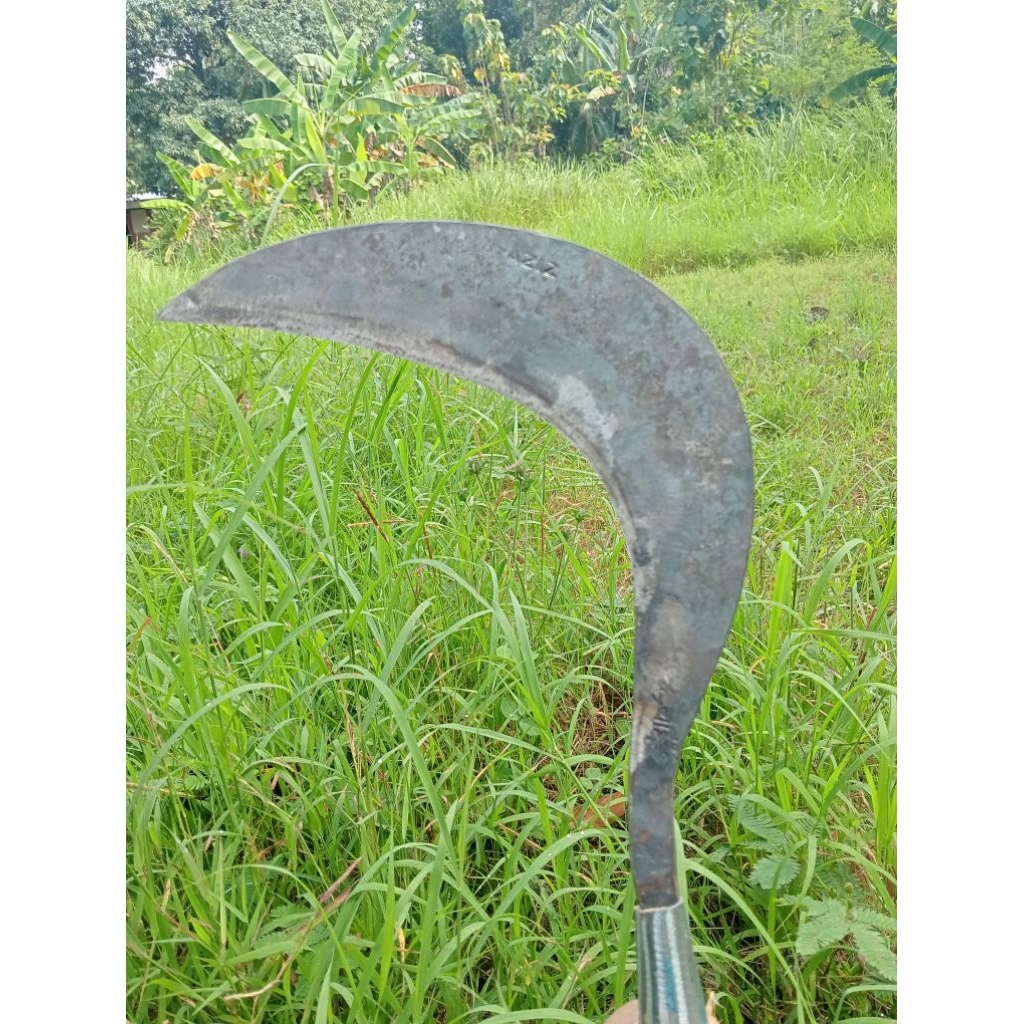 Sabit Pengaritan Tajam