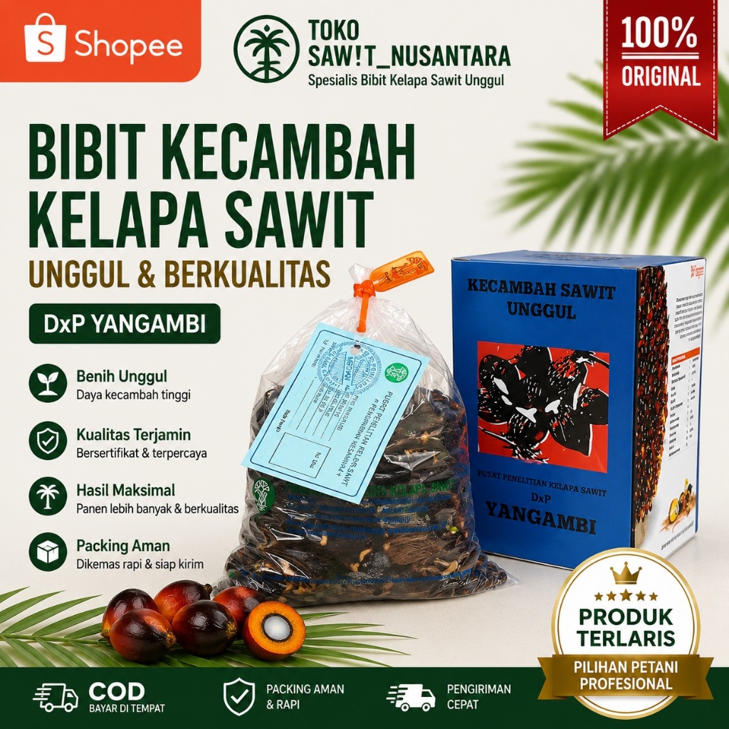 Bibit Kecambah Kelapa Sawit  PPKS DxP YANGAMBI ORIGINAL Bersertifikat I SIAP TANAM I Isi 250 Butir