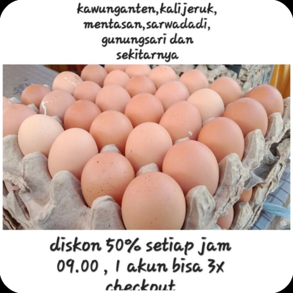 TELUR AYAM NEGERI KAWUNGANTEN KALIJERUK MENTASAN