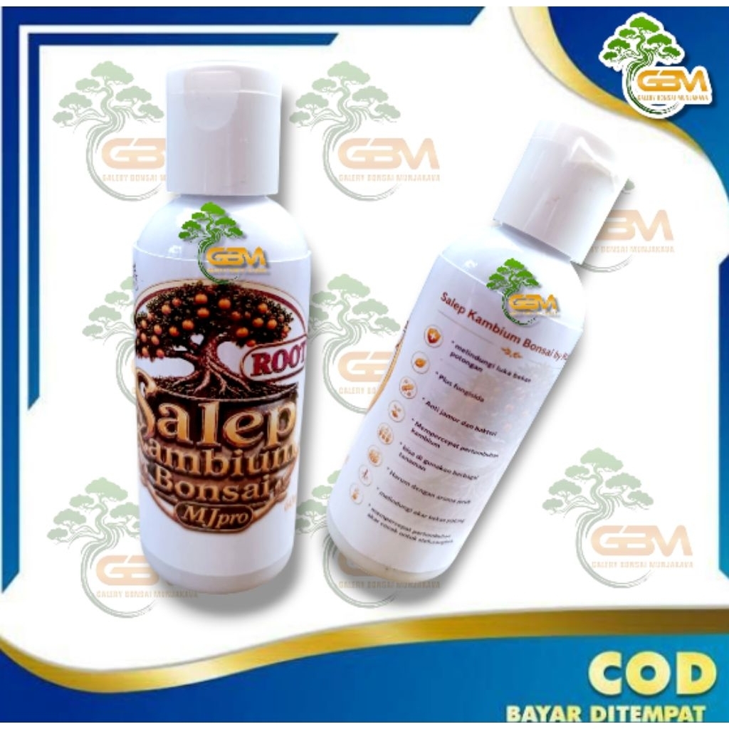 GBM ROOT Salep Kambium Bonsai MJpro 60ml
