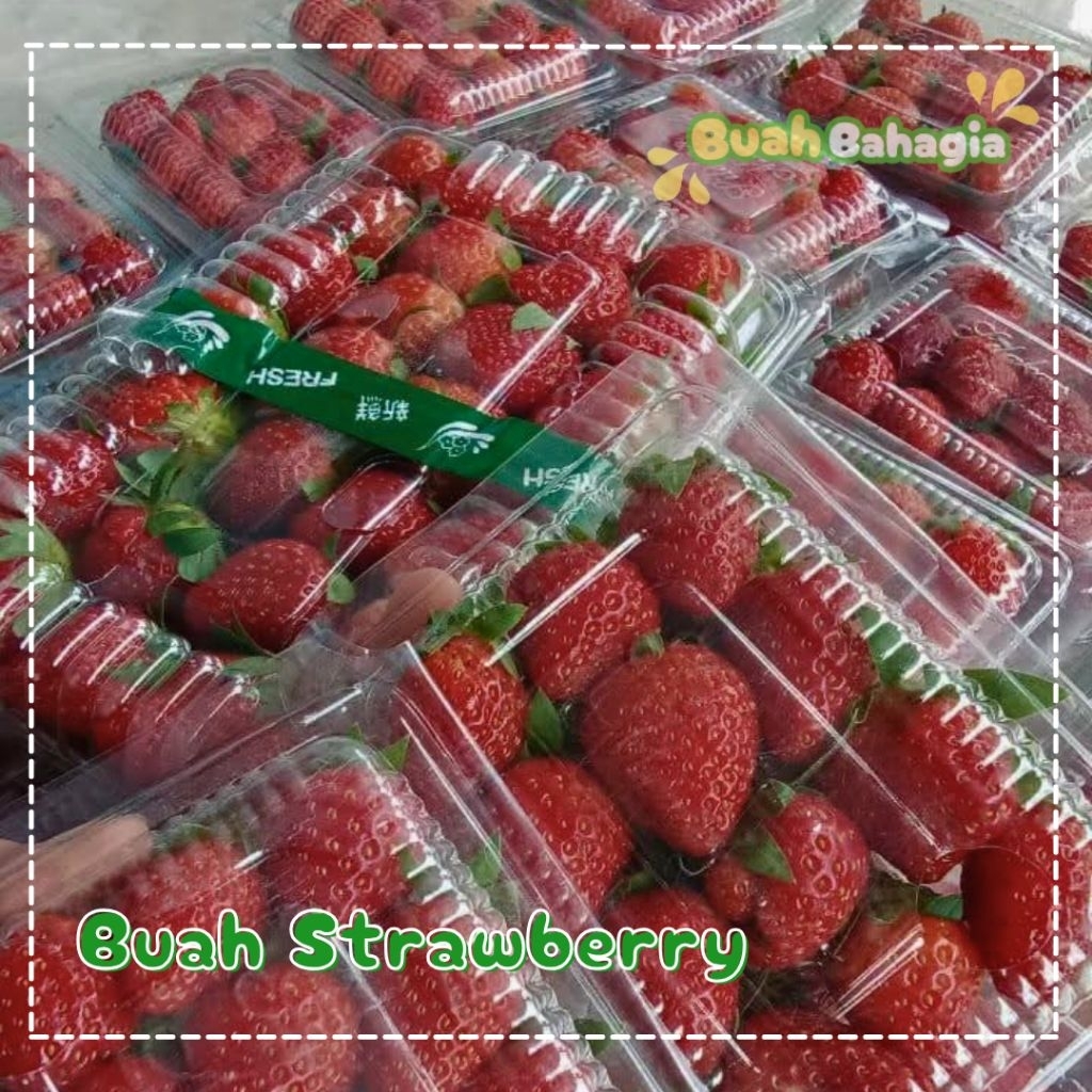 BUAH STRAWBERRY 1 MIKA BUAH BAHAGIA
