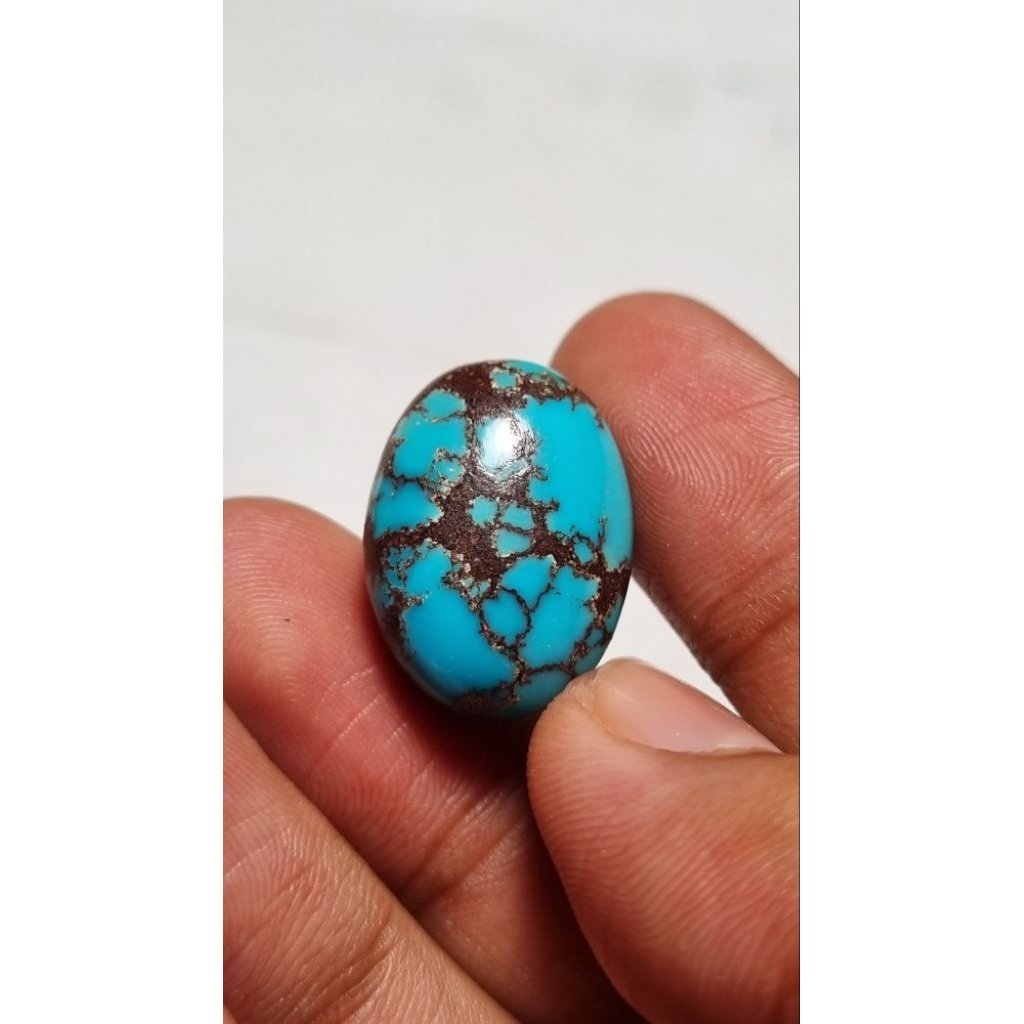 Natural pirus mesir