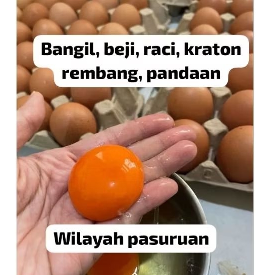 Telur Omega 3 Royal - Normal Size, Kaya Nutrisi, Bebas Salmonella, Halal