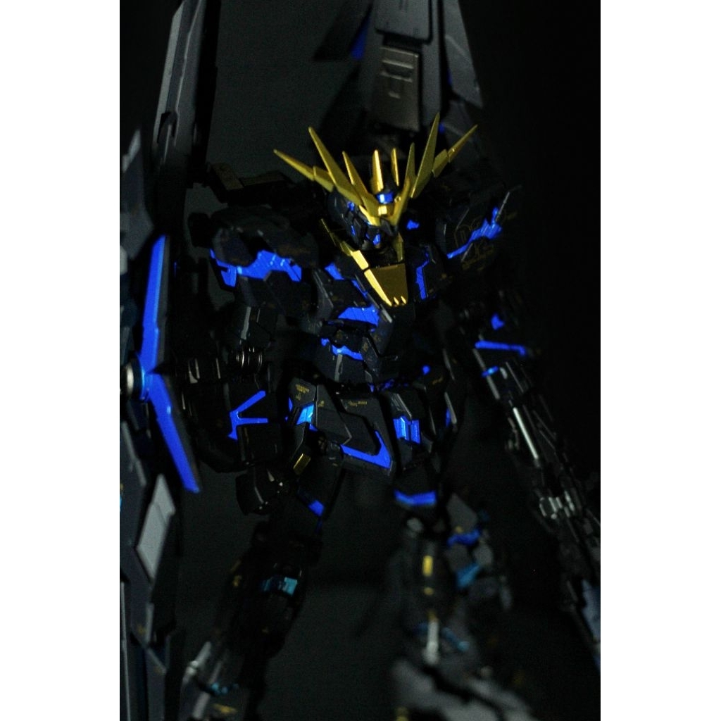 RG Banshee Norn Costum Painted