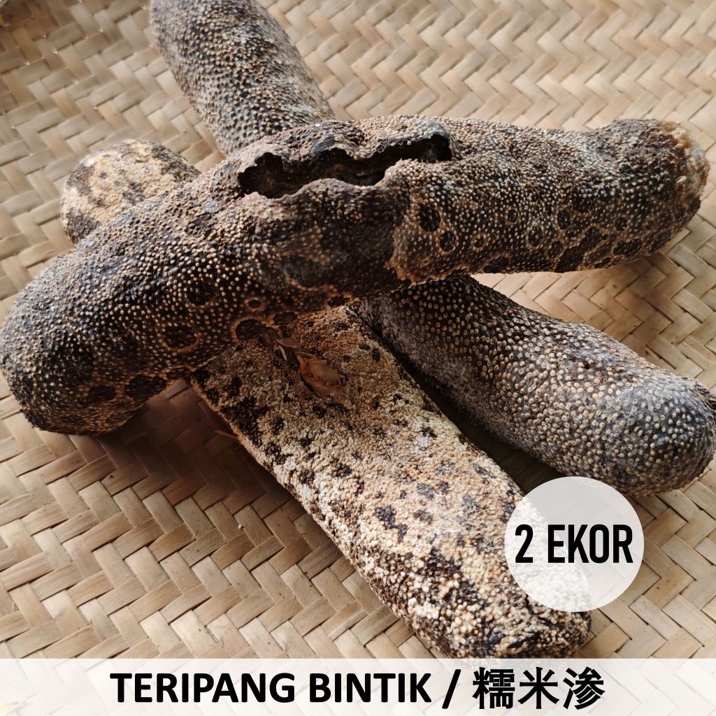 Cut Bi Sem 250 gr Teripang Bintik / Haisim Hoisem Haisom Kering