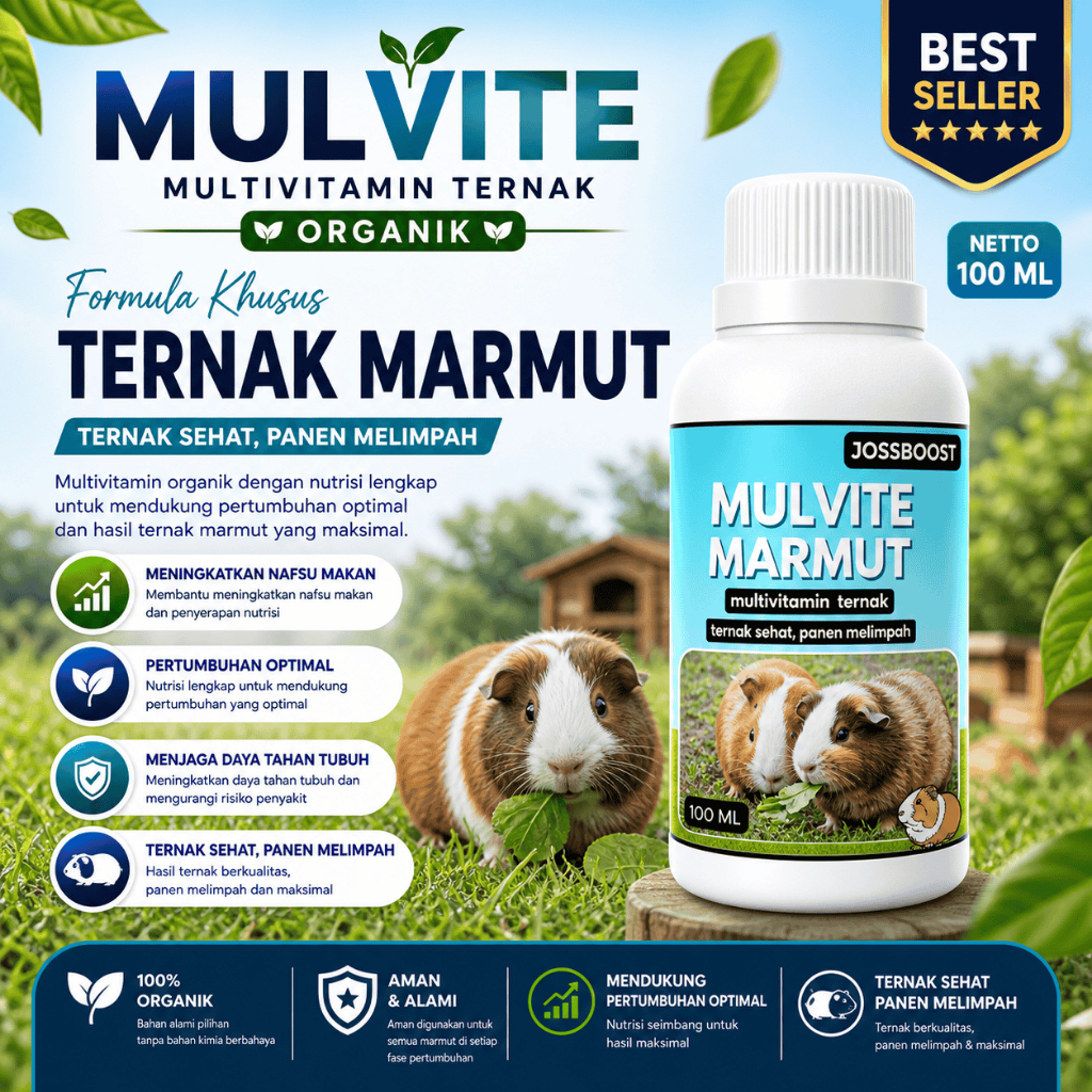 MULVITE Vitamin Probiotik Vitamin Suplemen Marmut Hias Anggora Fuzzy Lop Holland Netherland Dwarf Ke
