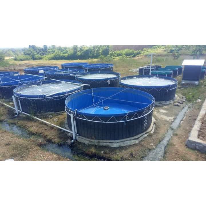 Kolam terpal Bulat Orchid Diameter 2 Tinggi 1 meter