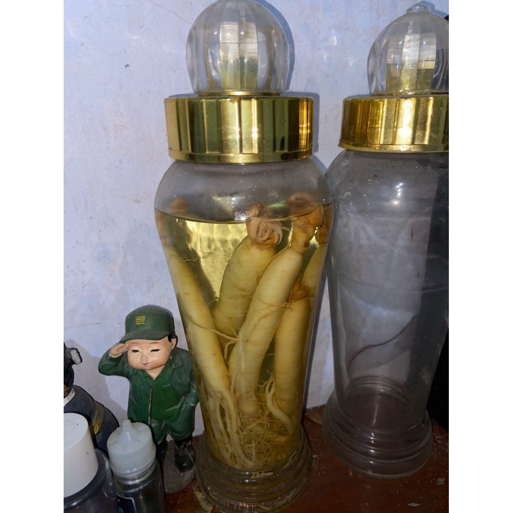 botol kosong gingseng
