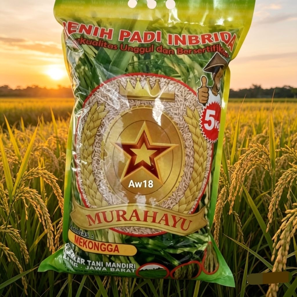 Benih Padi Premium Varietas MEKONGGA