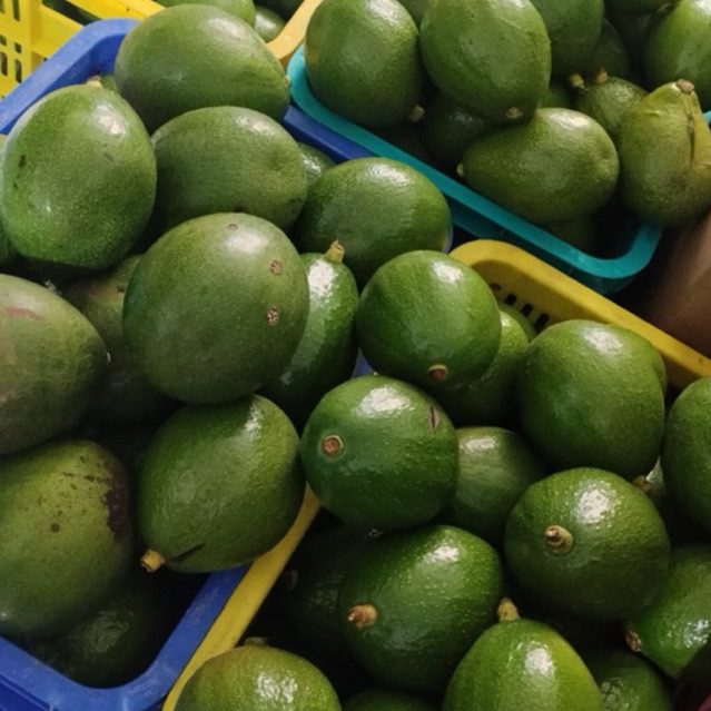 Alpukat 1kg