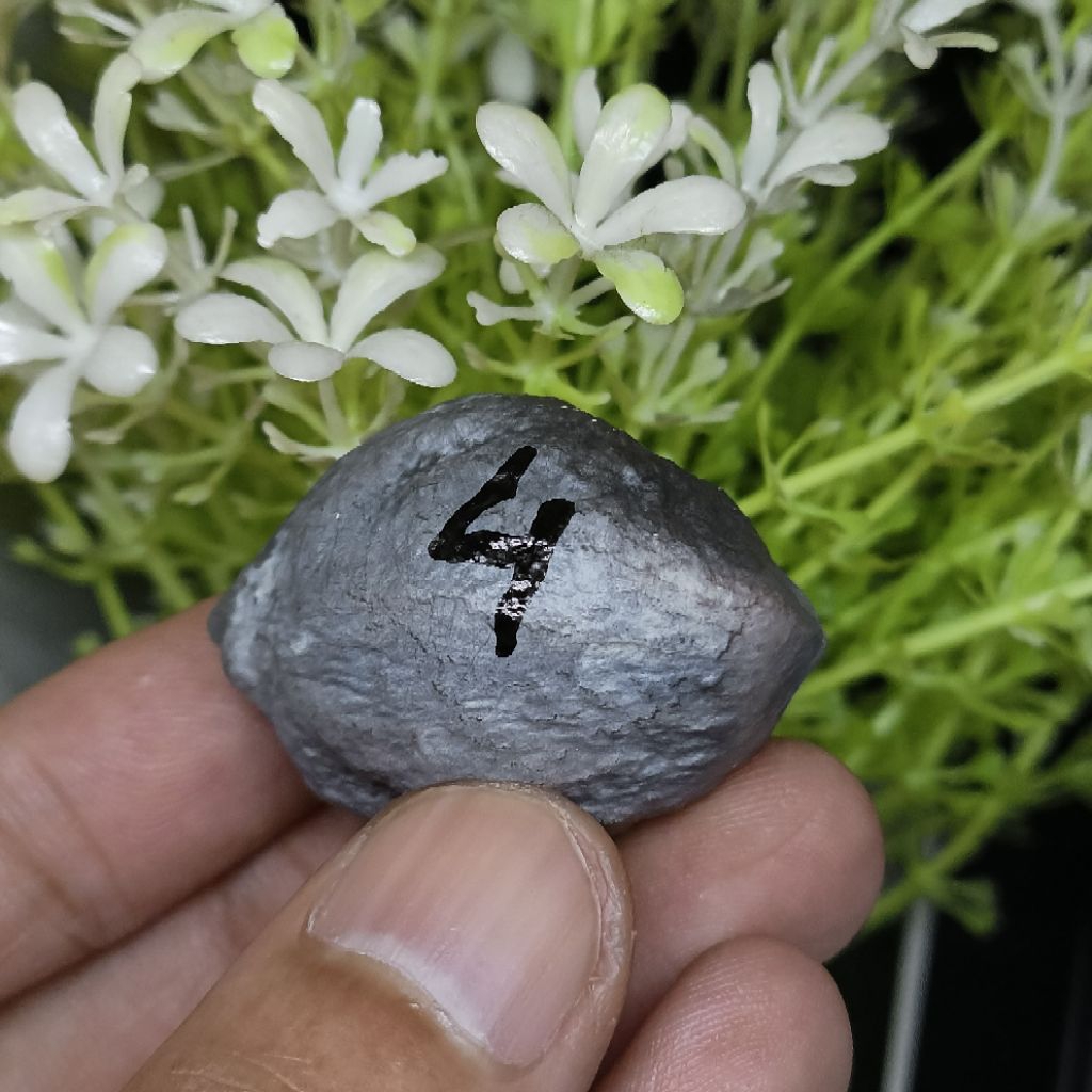 Muncang Adu Jabra CBR kode 4