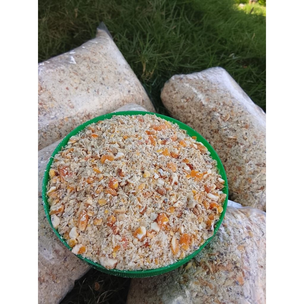 jagung giling berkualitas pakan ayam