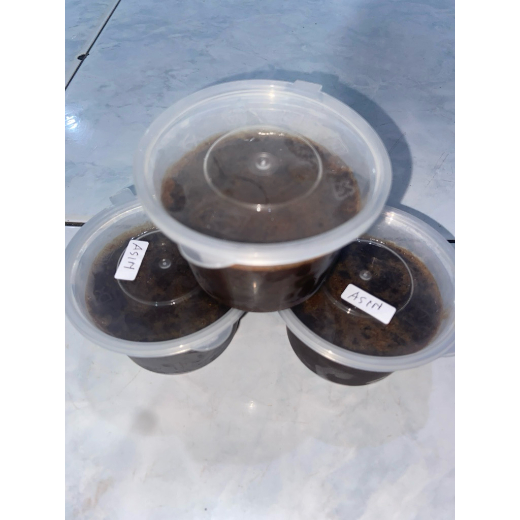 Petis Ikan Layang Khas Tuban