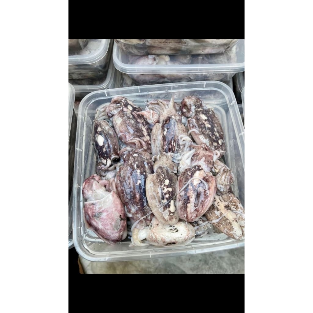 BEKUTAK
