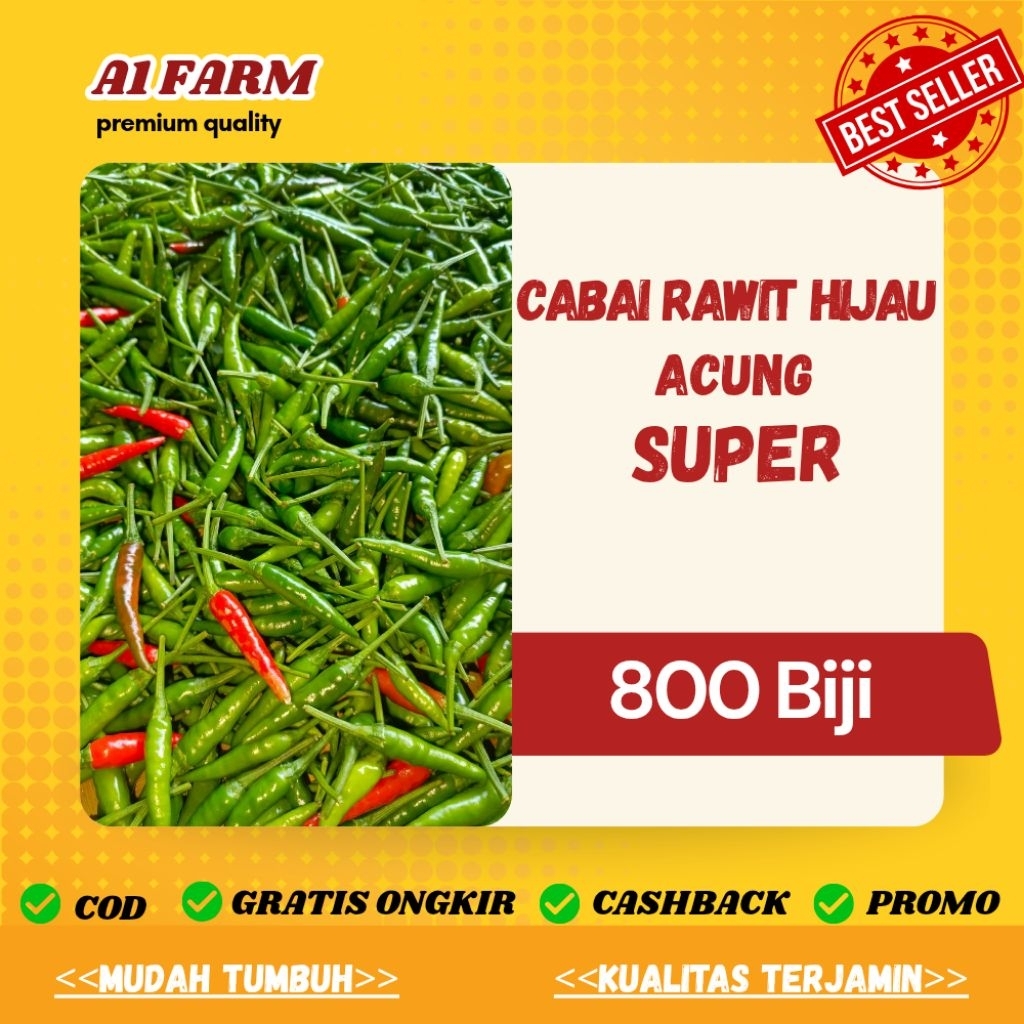 BIJI BENIH CABAI RAWIT HIJAU ACUNG (800 BIJI)