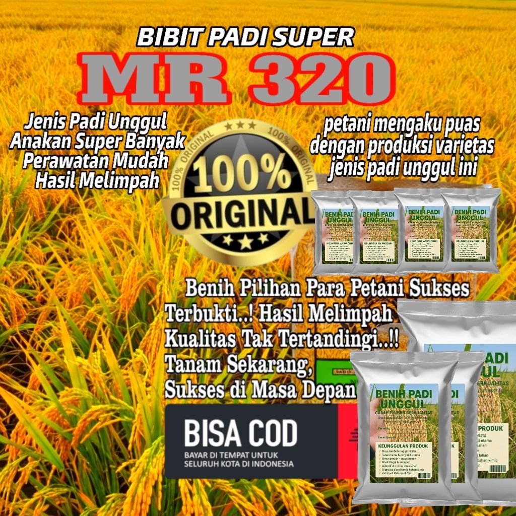 BENIH PADI UNGGUL MR 320 - SOLUSI PANEN MELIMPAH 12 TON/HEKTAR​