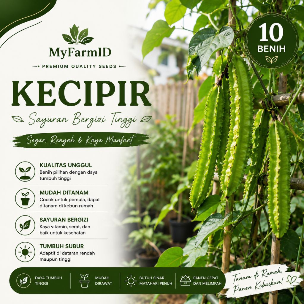 Benih Kecipir 10 Biji Benih Kecipir Sayur Kecipir Kecipir Hijau Kecipir Merambat Kecipir Organik Win