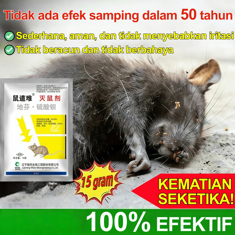 Racun oba tikus ampuh 100% racun tikus mati kering dan tidak bau obat racun tikus 100% racun tukus a