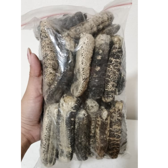teripang duri/gamat duri kupas/haisom/cishen/haishen 100gram