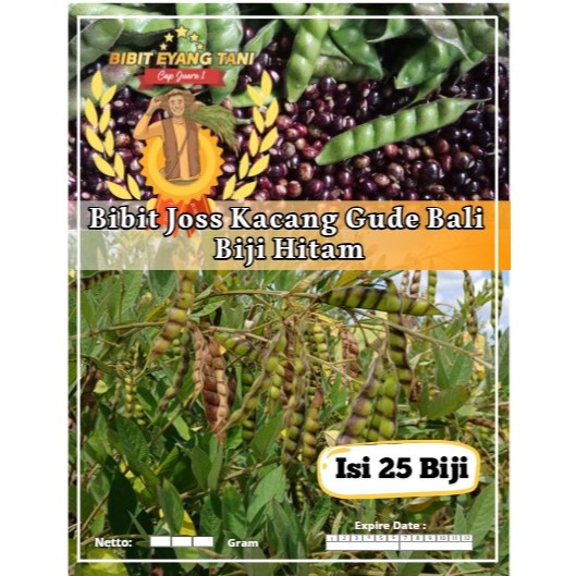 Bibit Pilihan Kacang Gude Bali Biji Hitam | Biji Benih Kacang Gude Bali Biji Hitam | Kacang Gude Pig