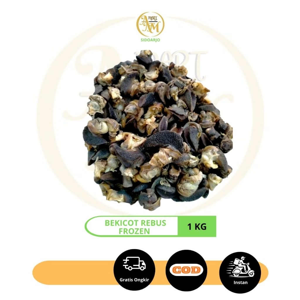 Daging Bekicot Mentah 1KG Frozen | Bekicot siap masak - Frozen