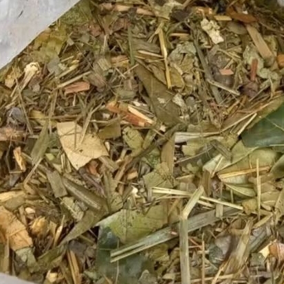 pakan hewan ternak silase 2kg