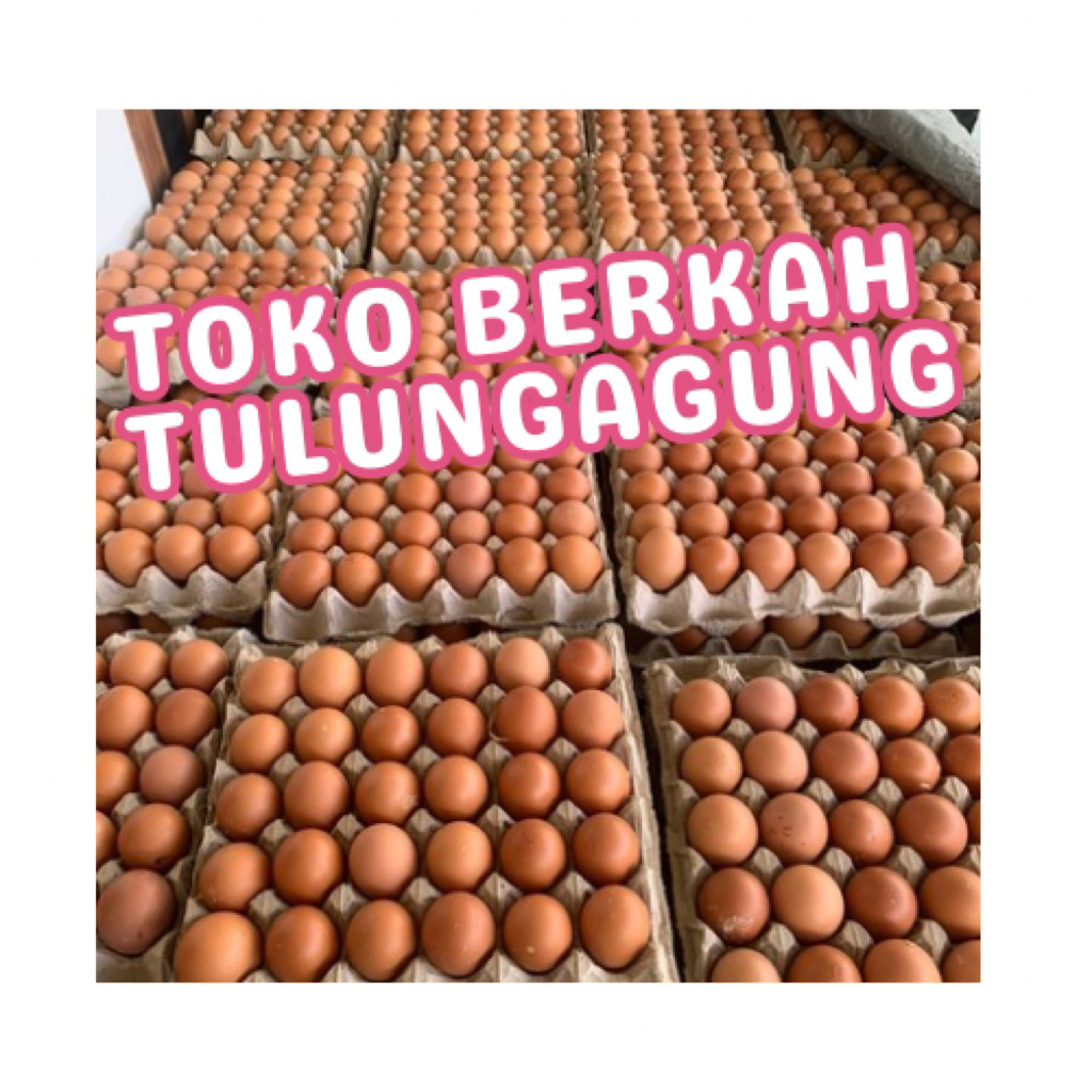Telur ayam / telur asin / telur puyuh INSTAN TULUNGAGUNG